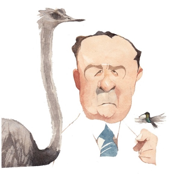 Ilustração de Kleber Sales para o livro